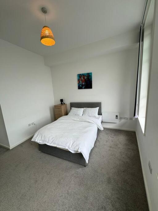 Spacious Flat In Sheffield City Center Gs304 外观 照片